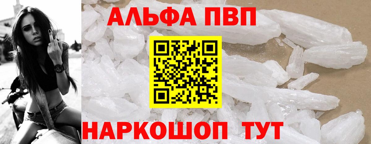 Альфа ПВП СК КРИС Миллерово