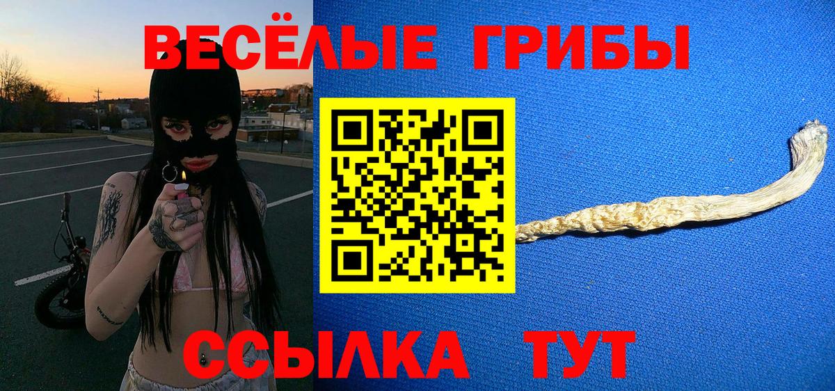 Псилоцибиновые грибы прущие грибы Миллерово